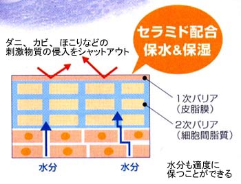 ダニ、カビ、ほこり、ハウスダストには肌のバリア機能が大切